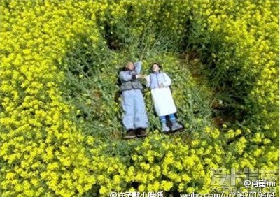 当初《金粉世家》陈坤和董洁一起躺在向日葵花海,如今《宫锁连城》搞