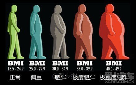 BMI指数(身体质量指数)_四川汽车论坛_XCAR