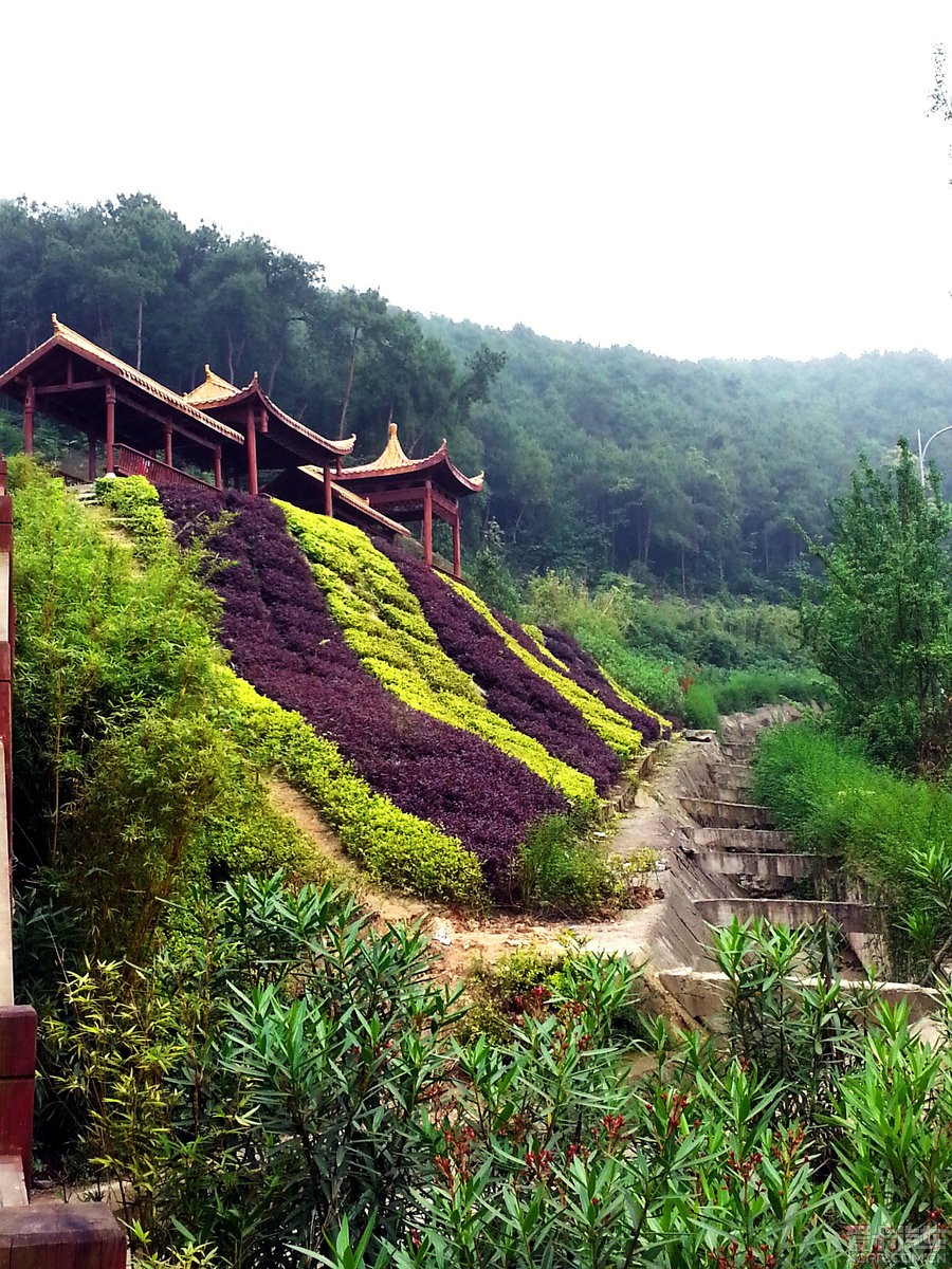 > 薄熙来时代的产物—重庆铁山坪步道