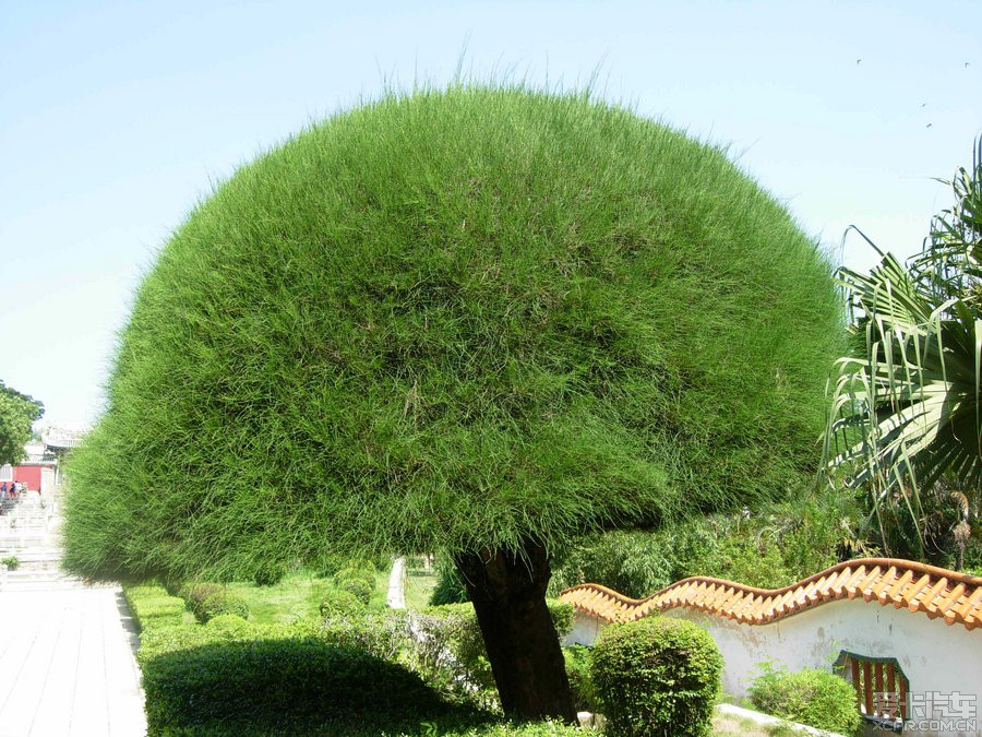 福建东山岛风动石景区炫丽一瞥