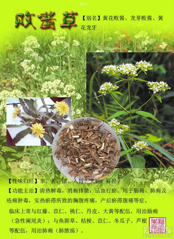 中成药-标签列表-米内网