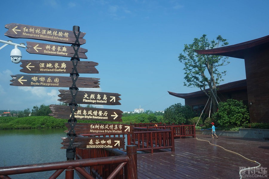 奇特的海南荒野景致——澄迈县红树湾 - 酷走旅游网