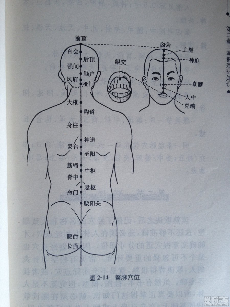 > 教你学习针灸 督脉穴位定位 腰俞:在骶部,后正中线上,适对骶管裂管