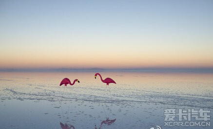 玻利维亚乌尤尼盐沼,天空之镜的无限可能_翼搏