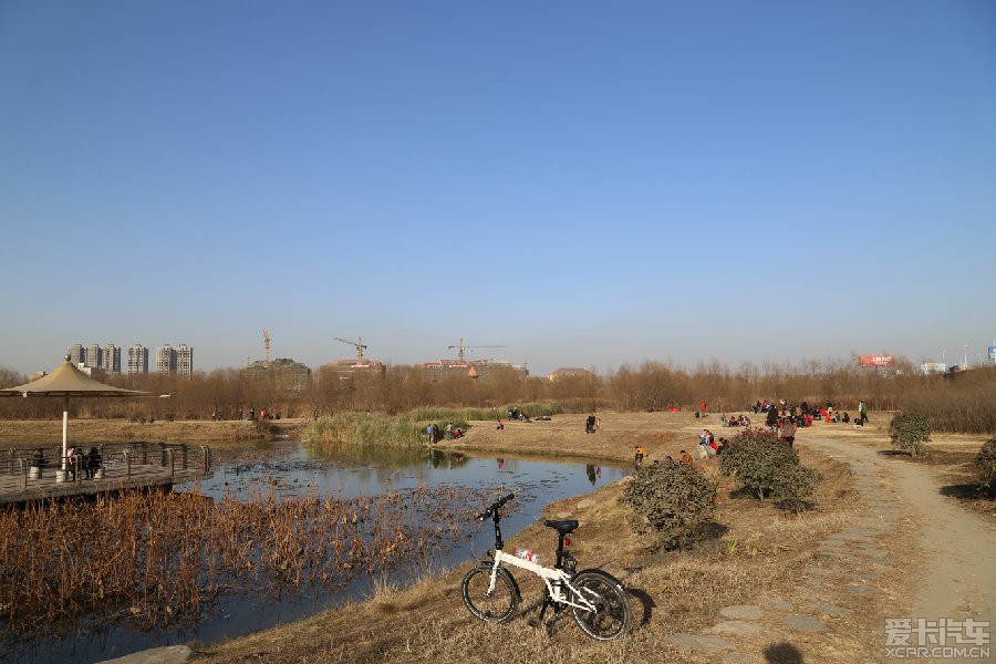 周末灞桥生态湿地公园和临潼小游记_陕西论坛