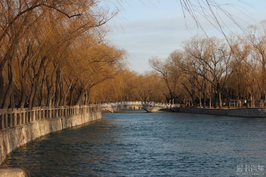 五九六九沿河看柳