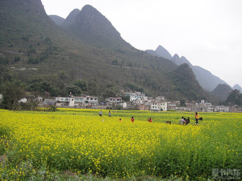 2015春节滇川藏地自驾之旅
