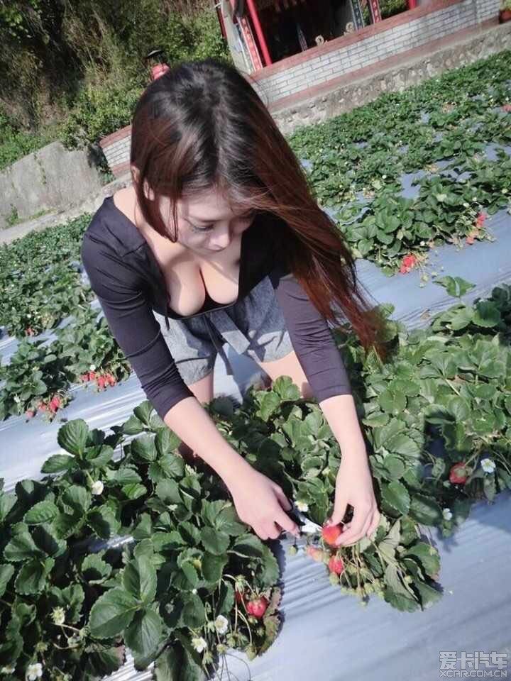 爱卡重庆分会 新春摘草莓+农家乐Fb纪录_第6