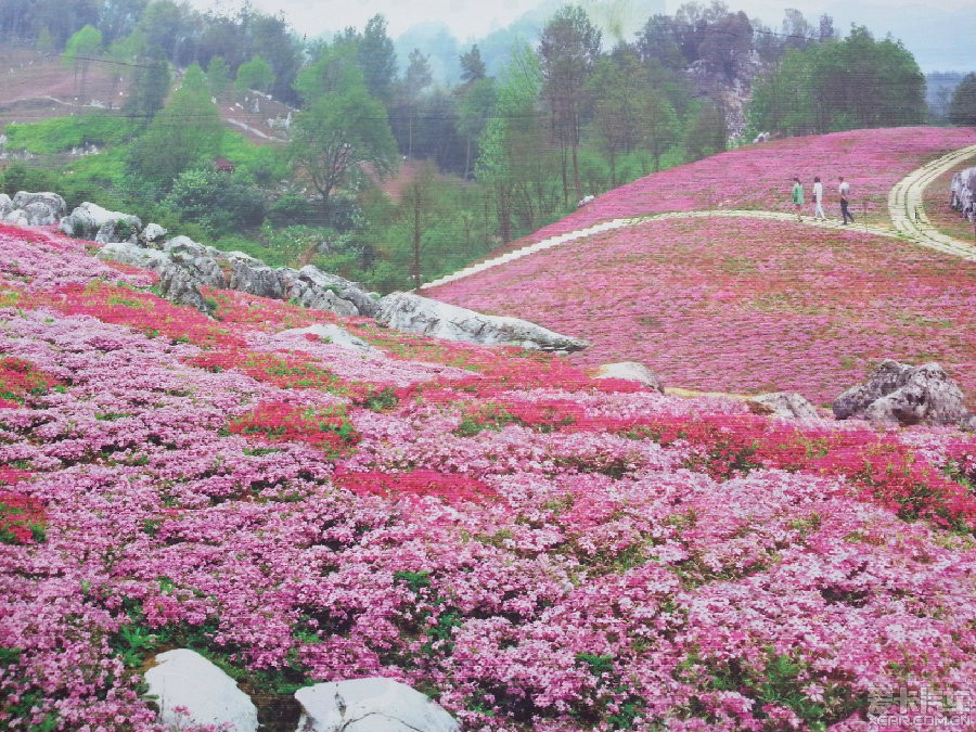 药王谷紧靠九环东线(江油—平武),距李白故里江油市23公里,距绵阳市64