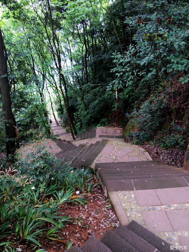 凤栖山也有步道上山,很多当地人选择把车停在半山处徒步