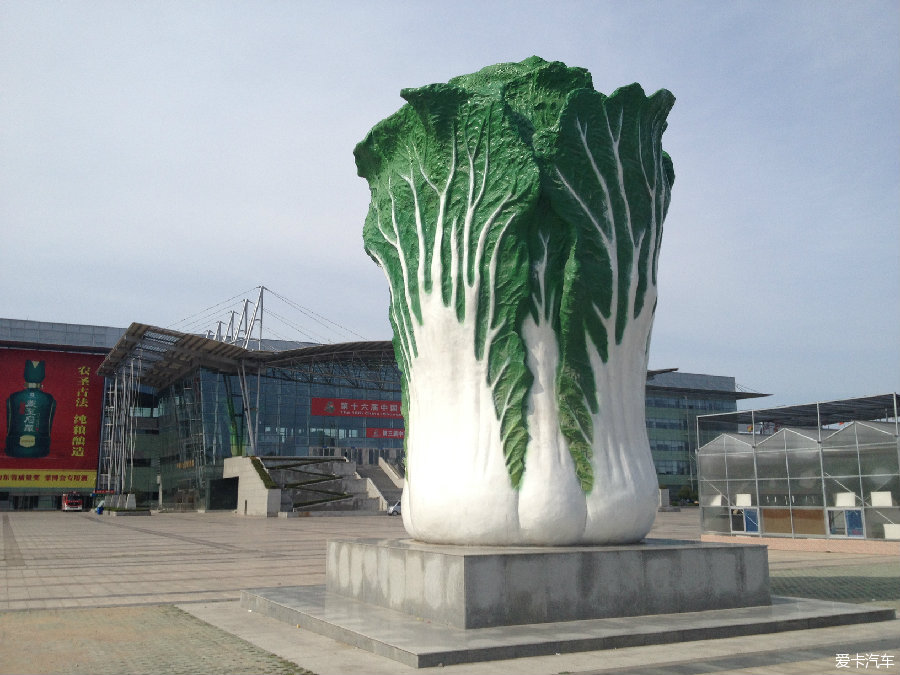 驭马自由行说走就走寿光行海量图片带你认识菜博会