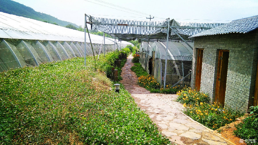 河北 石家庄 紫藤西山庄园 自助游论坛 欢乐出行 紫藤西山庄园采摘记