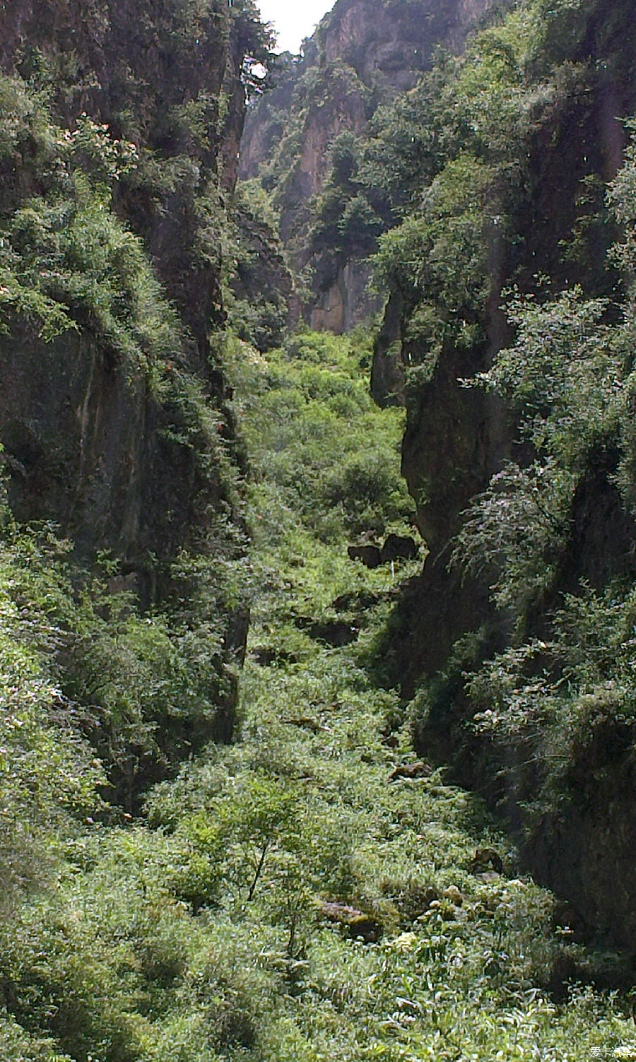 > 休闲瞎逛——漳县遮阳山