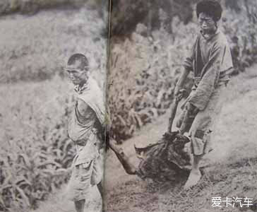 1936年中国大饥荒,分分钟打国粉的脸_上海汽