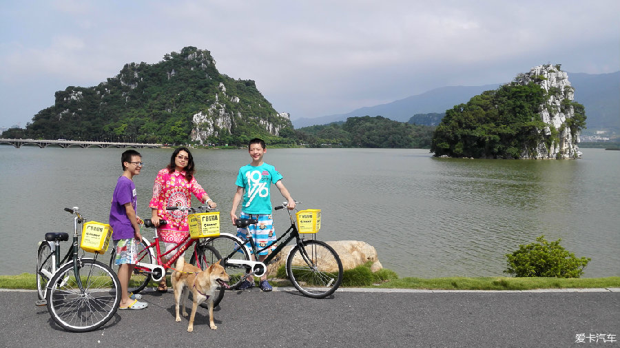 家里还有一只小柴犬,不过暂时还没与秋田犬一