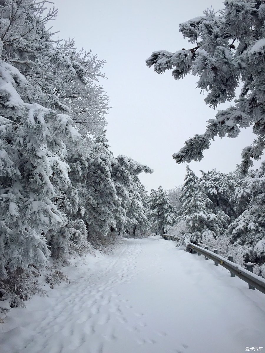 穿林海跨雪原气冲霄汉----再去延庆看大雪(手机发帖)