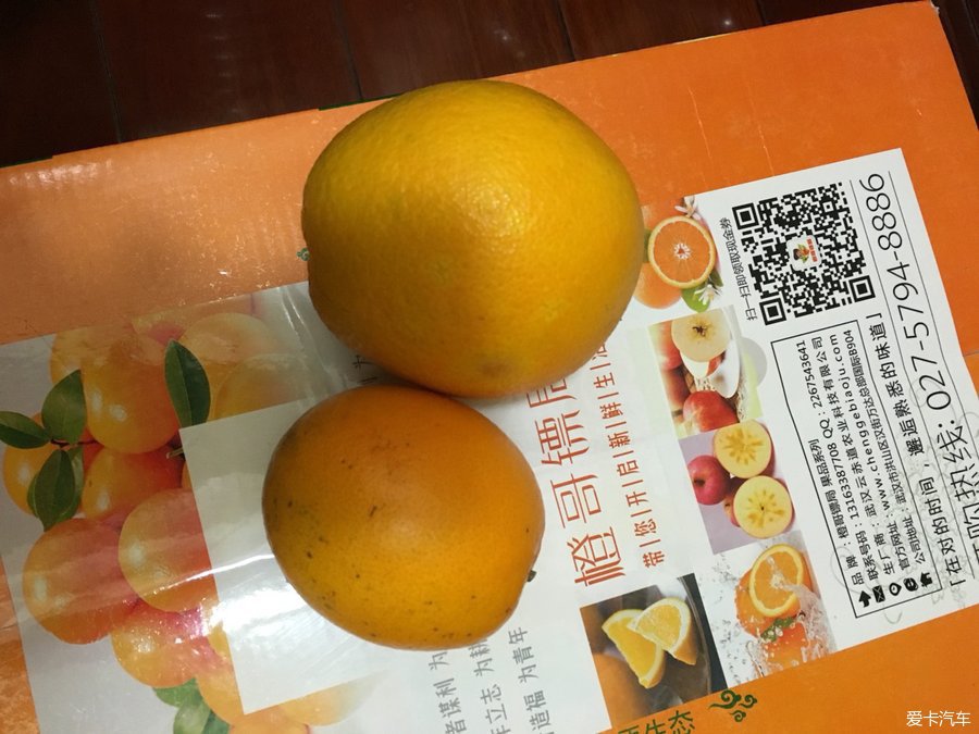 华科橙哥,你的橙子好大啊