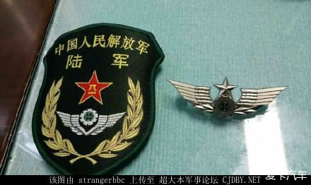 修改后的陆军臂章，不再顶个球!!……_北京汽车论坛_XCAR 爱卡汽车俱乐部
