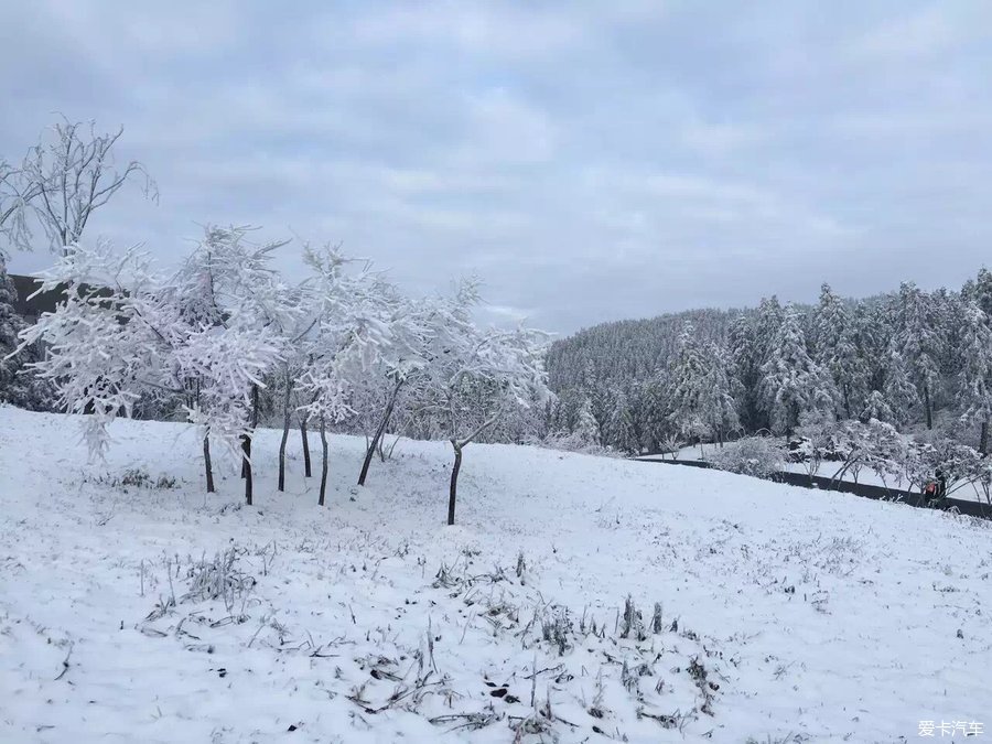 答案揭晓,这个地方是重庆仙女山森林公园.