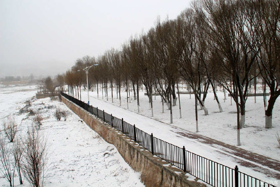 【金猴送福】新年第一场雪,街拍雪景_第2页_林