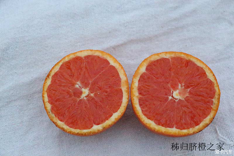 三峡秭归血橙红肉橙子新鲜水果脐橙 10斤包邮