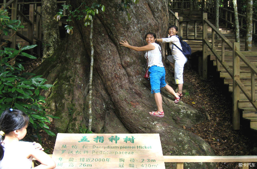 游霸王岭国家森林公园