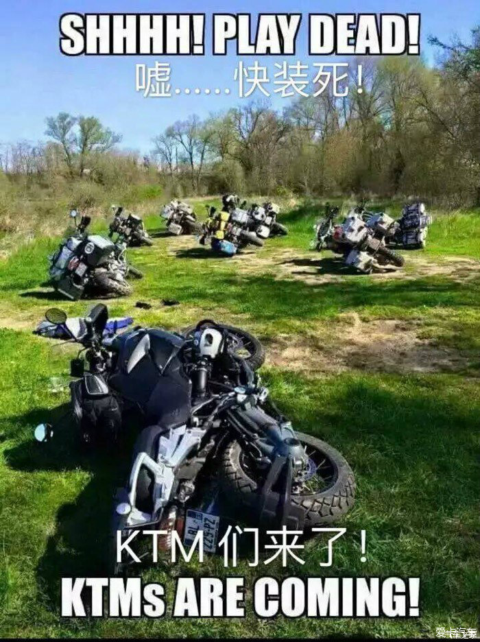 > 姗姗来迟的ktm1050adv