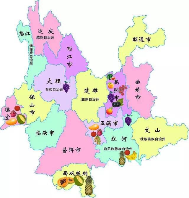 云南水果地图首次发布