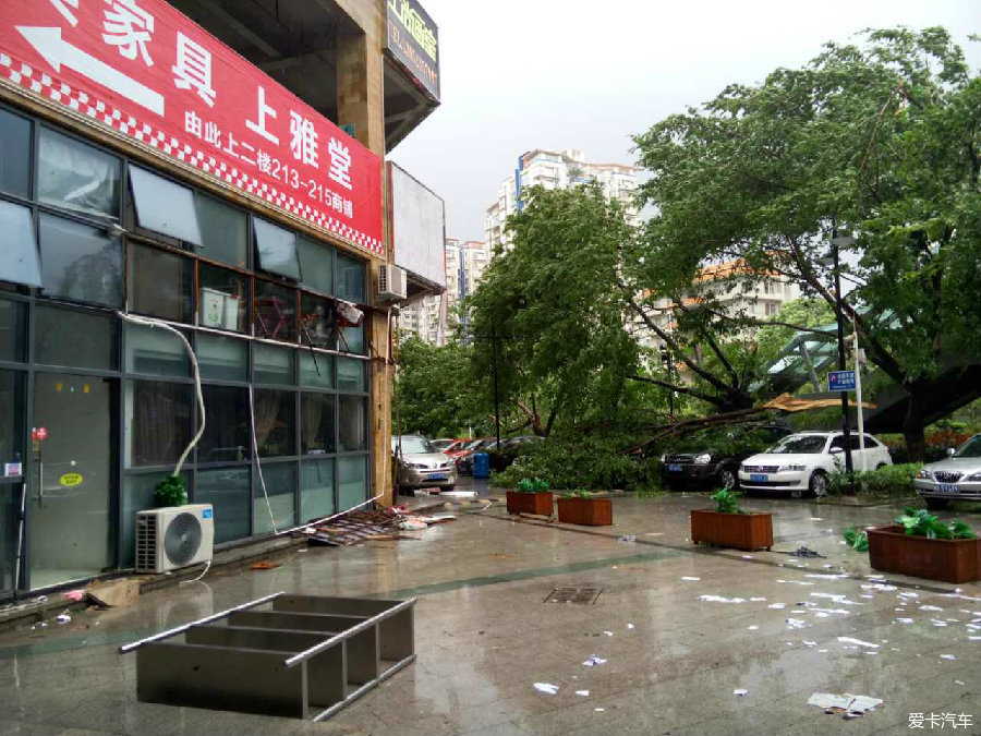 即使正面扫过来,台风绝对是利大于弊_深圳汽车
