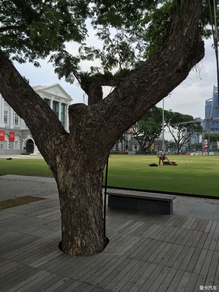 新加坡的几点观感_北京汽车论坛_XCAR 爱卡