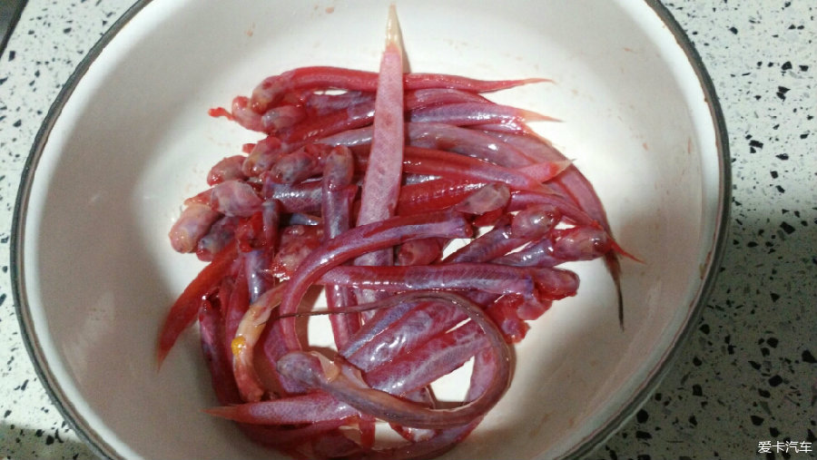 这种红色的海鱼是什么鱼?_深圳汽车论坛_XC