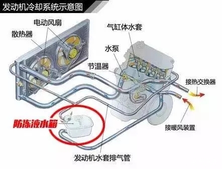 【图】为什么降温了,汽车更需要冷却液?