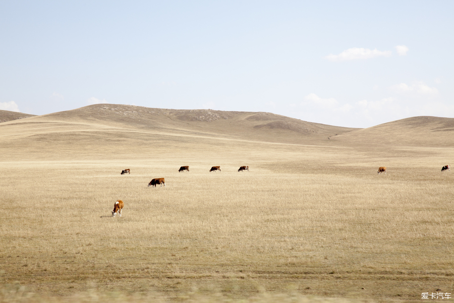  拜访成吉思汗的子民 途胜游牧文化之旅【多图】