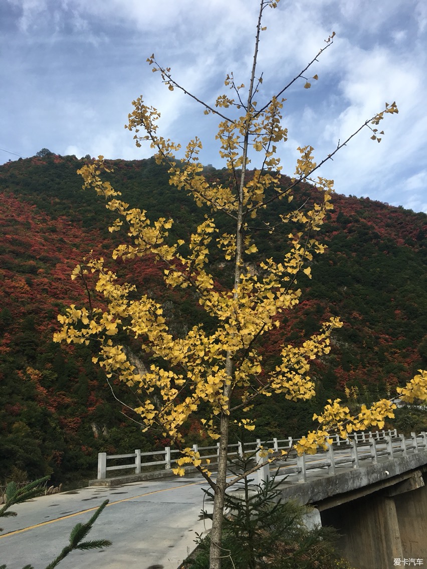 一场川麻引出的两当游!_第2页_甘肃汽车论坛_