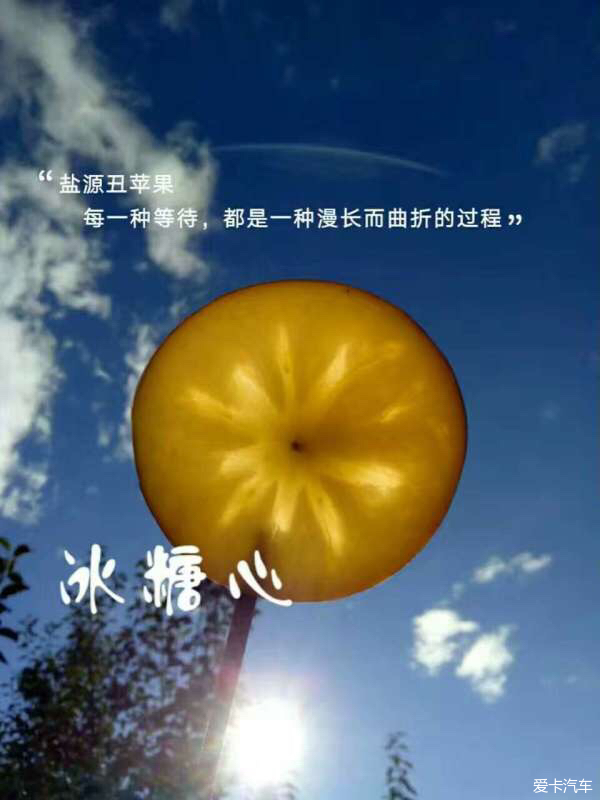 盐源糖心丑苹果---爱心广告贴_四川汽车论坛_