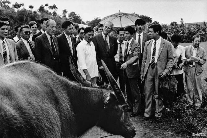 中国80年代摄影绕不开的人安哥