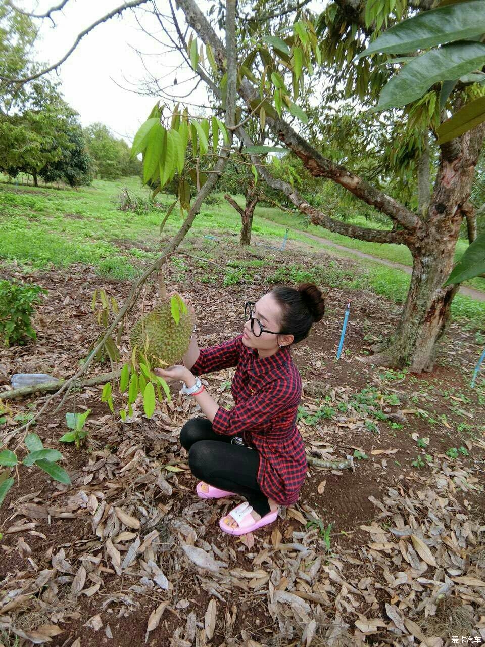 在柬埔寨认识的一个老挝女孩,新潮如国内_北京