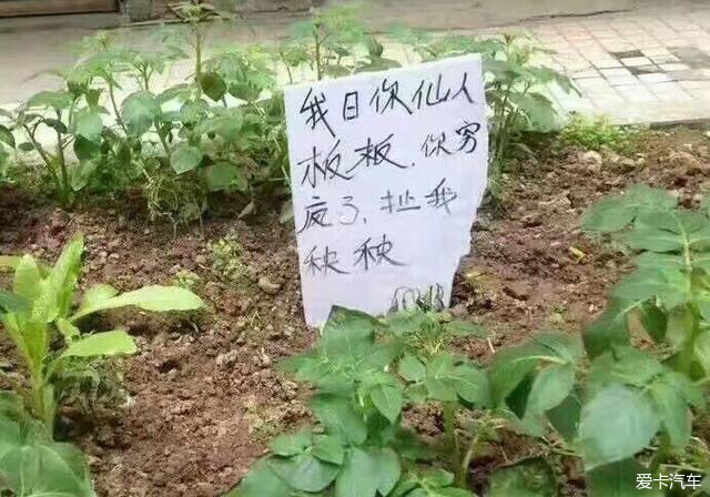 > 你穷疯了,扯我秧秧!