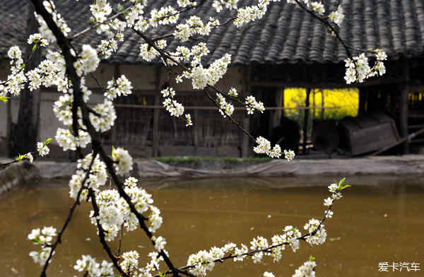 探秘 南江县朱公乡马家祠堂,通江县梨园坝古村