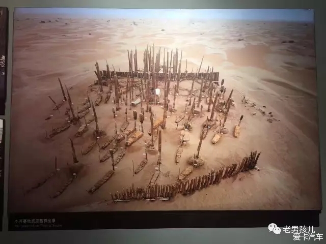 精绝探秘-探索黄沙掩埋下的西域文明