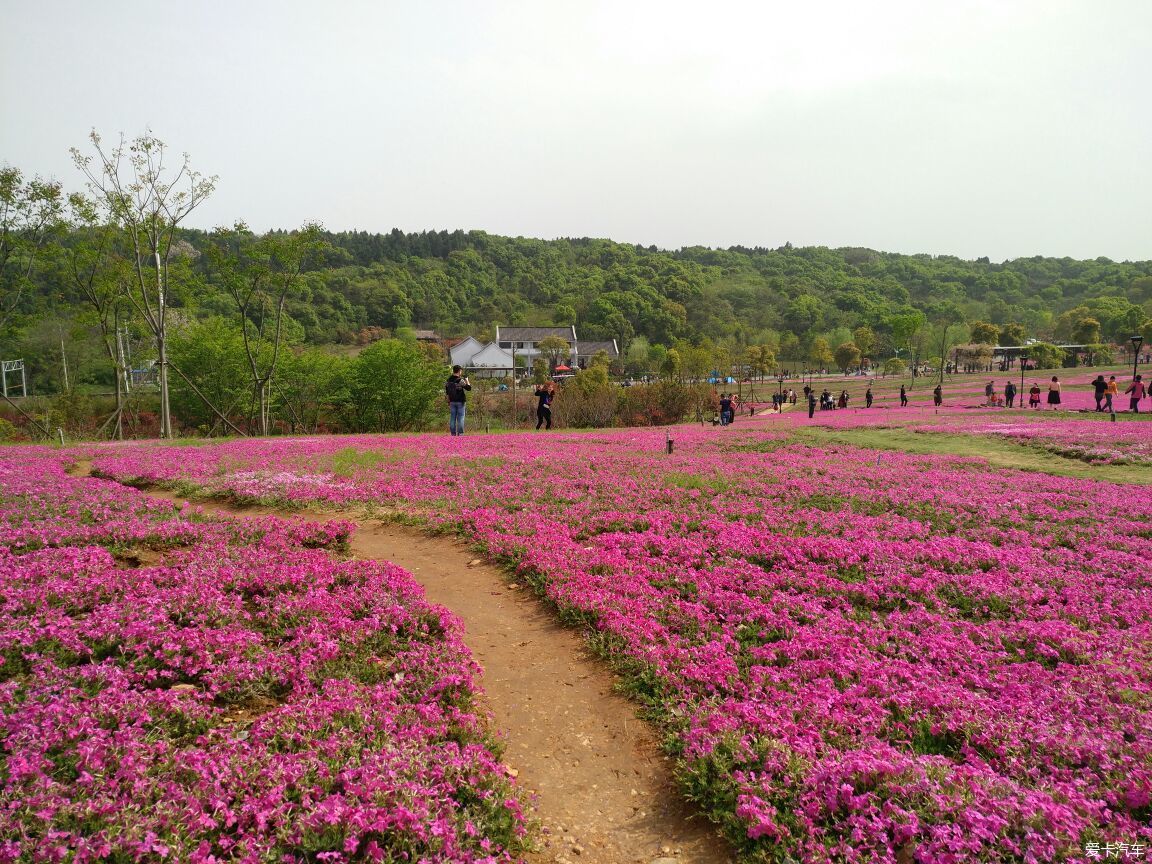 龙灵山生态公园