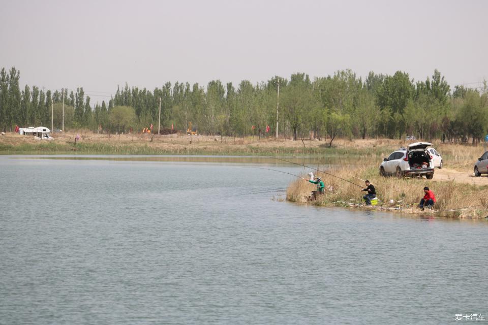 > 【我与春天有个约会】济南龙湖湿地公园自驾烧烤踏青游玩