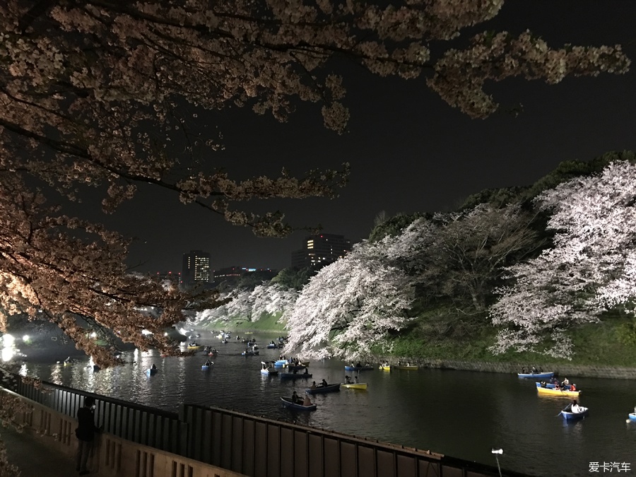 2018年日本樱花季的自由行(附部分攻略)_第30