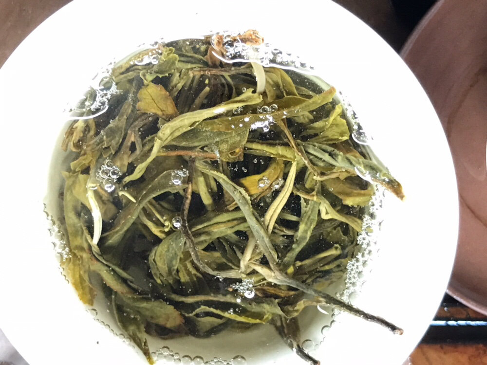 春天的耕耘,秋天的收货-2018缅甸果敢普洱茶收