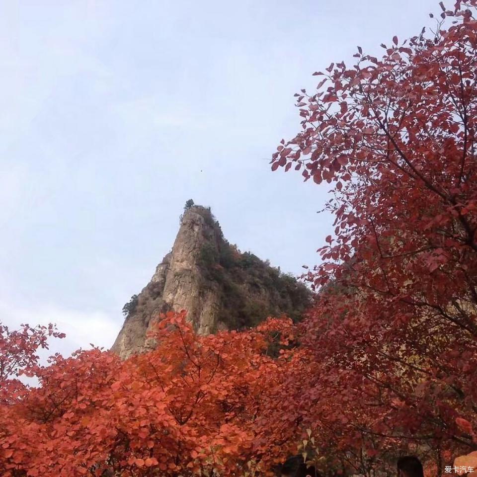 【寒秋，有“艾”】秋天，赏红叶的季节