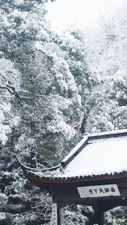 雪后的杭州西湖,美得就像一幅水墨画.