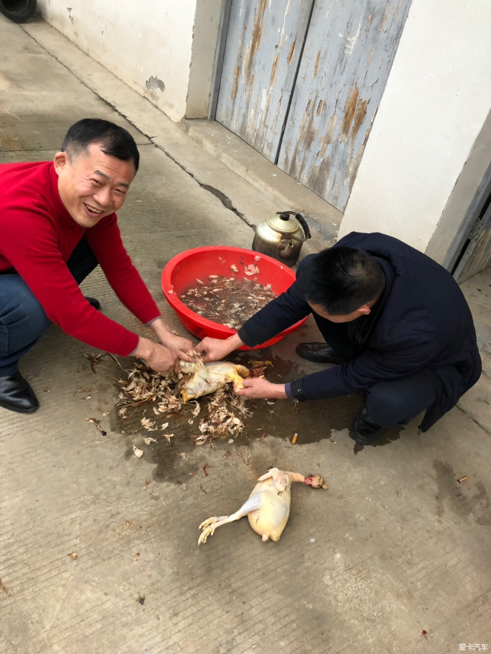 平时老板,这时都很能干,杀鸡拔毛