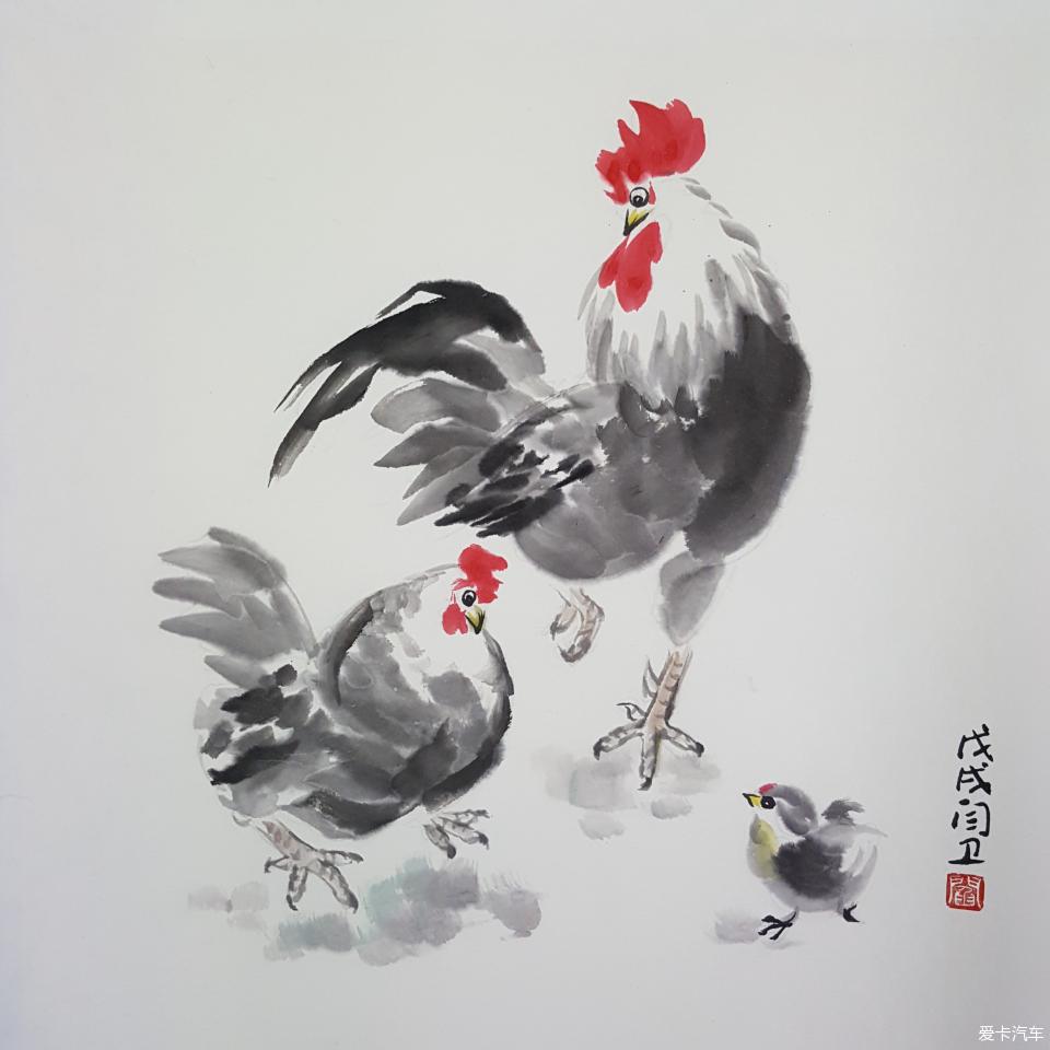 (5)为一家三口属鸡的朋友画公鸡母鸡和小鸡