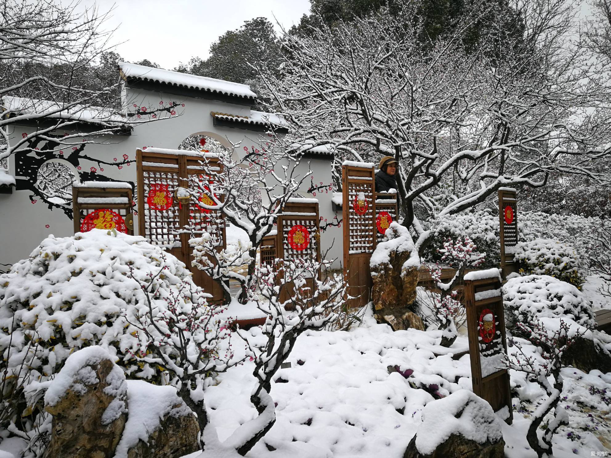 【图】踏雪寻梅(无锡梅园)_26_北京论坛_爱卡汽车