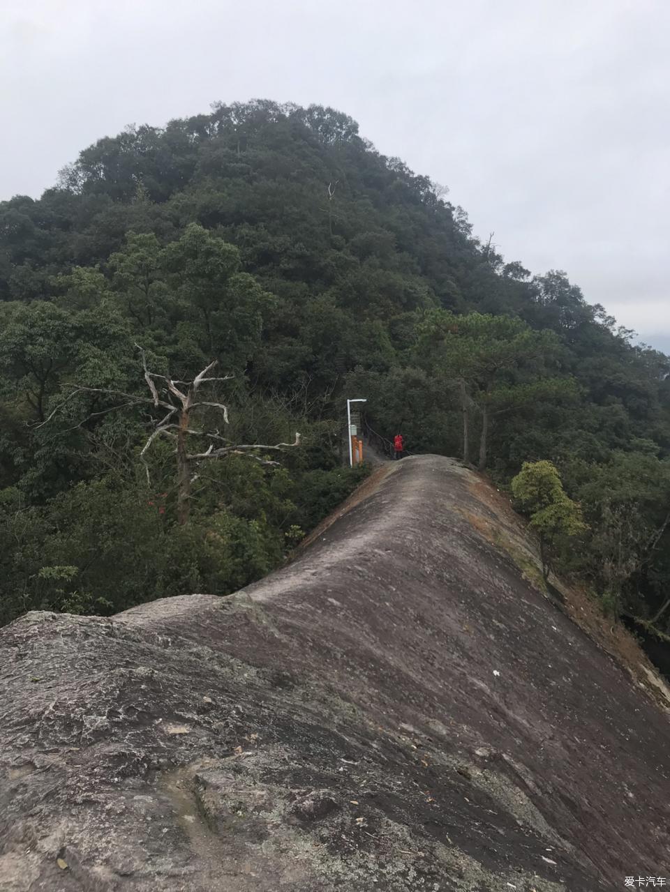 【行行出状元,处处有金杯】猪年大吉,我的同行